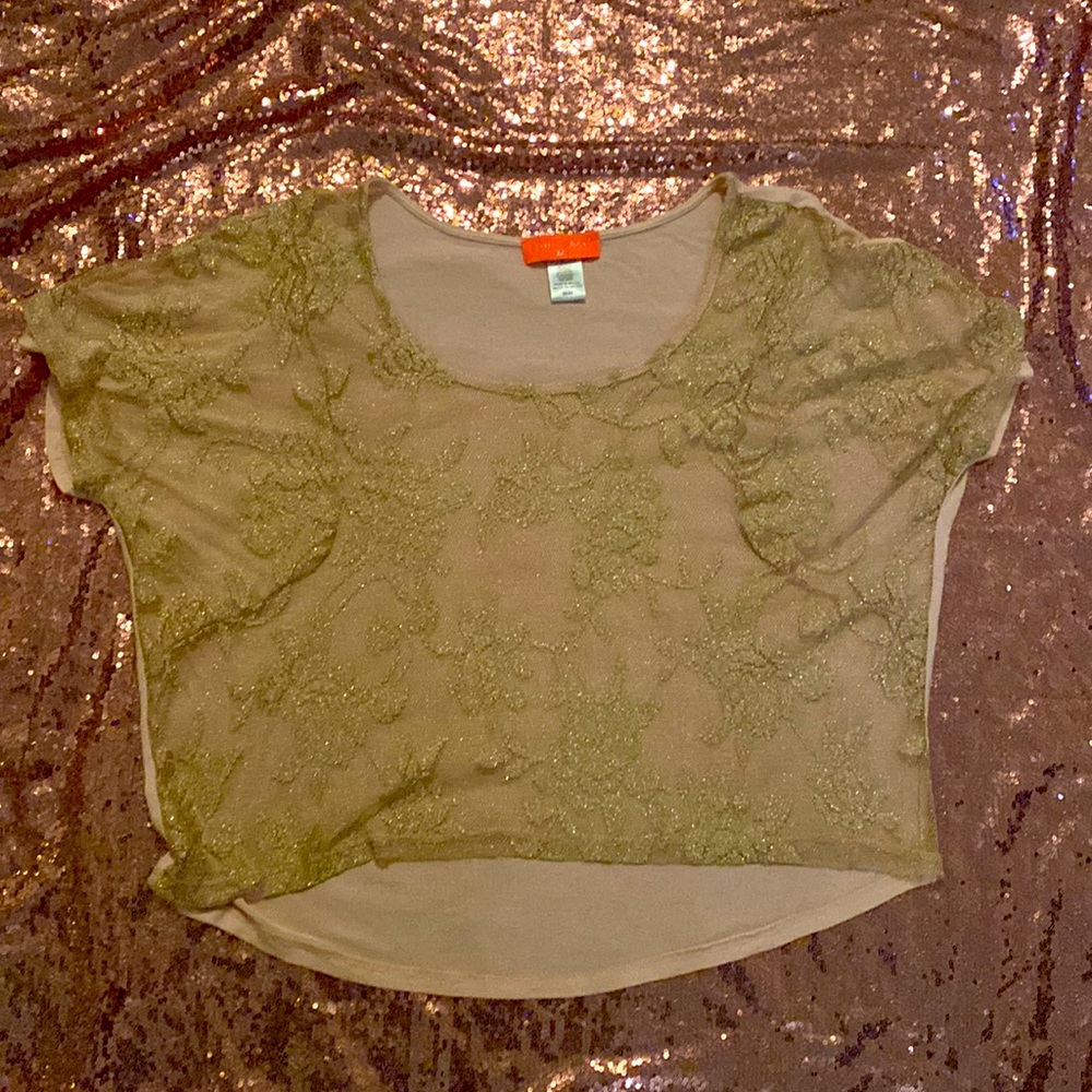 Pink & gold mesh/see through top (Medium)